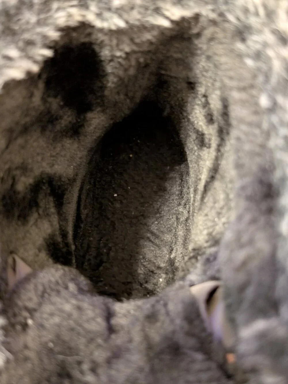 Gray Faux-Fur Winter Ankle Boot Size 40